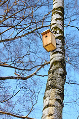 Image showing Bird house hanging on a birch. 