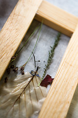 Image showing making hand made paper