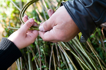 Image showing Man teaching child making a wicker basket