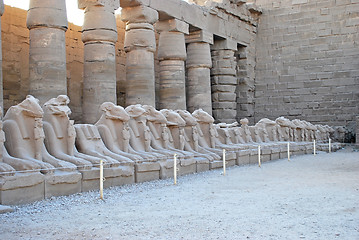 Image showing Karnak temple