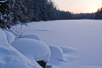 Image showing Winter