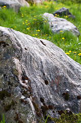 Image showing rock garden
