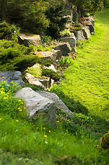 Image showing rock garden