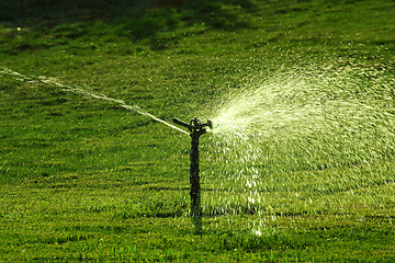 Image showing sprinkler watering green lawn