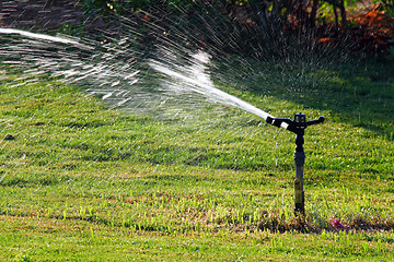 Image showing sprinkler watering green lawn