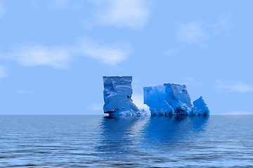 Image showing arctica