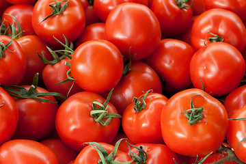 Image showing Red ripe tomatoes