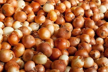 Image showing Background of onions