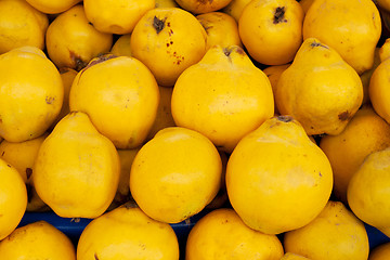 Image showing Mellow yellow sweet quince
