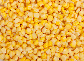 Image showing Background of corn