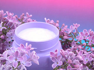 Image showing body cream