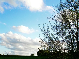 Image showing sky and trees