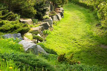 Image showing rock garden