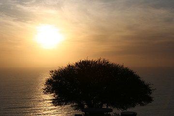 Image showing Sunset