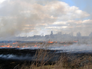 Image showing Grassland Fire