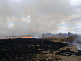 Image showing Grassland Fire