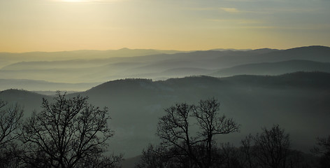 Image showing fog mist