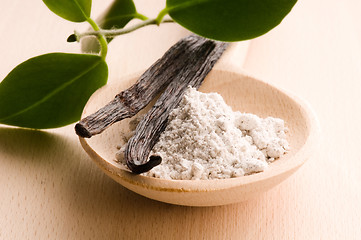 Image showing vanilla beans with aromatic sugar