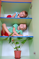 Image showing education on shelves