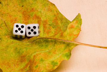 Image showing two dice