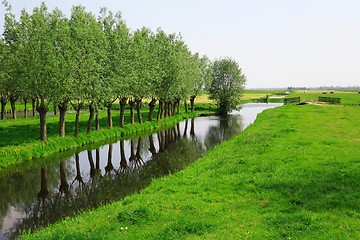 Image showing Dutch landscape