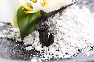 Image showing vanilla beans with aromatic sugar and flower