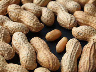 Image showing Peanut