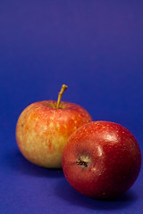 Image showing Apples