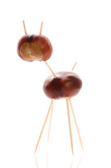 Image showing chestnut toy