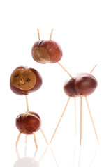 Image showing chestnut toy