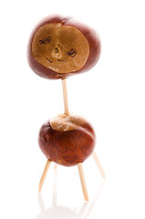 Image showing chestnut toy