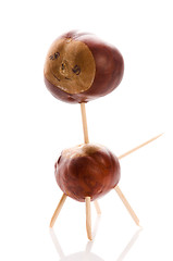 Image showing chestnut toy