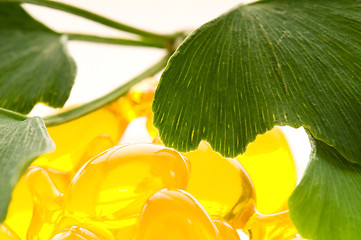 Image showing ginko biloba essential oil with fresh leaves - beauty treatment 