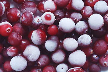 Image showing red cranberries