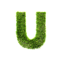 Image showing Grass letter