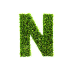 Image showing Grass letter