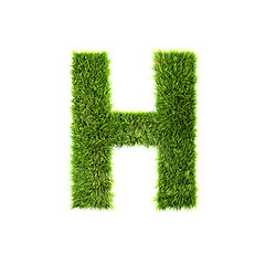 Image showing Grass letter