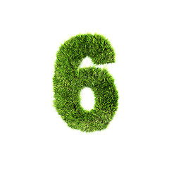 Image showing grass number