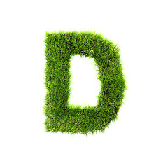 Image showing Grass letter