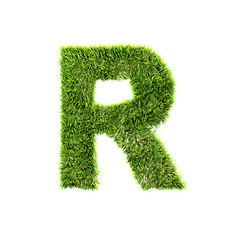 Image showing Grass letter