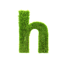 Image showing grass lower-case letter