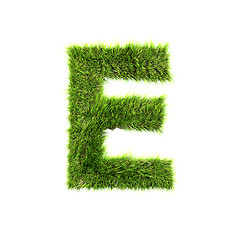 Image showing Grass letter