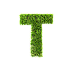 Image showing Grass letter