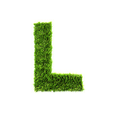 Image showing Grass letter