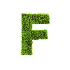 Image showing Grass letter