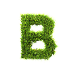 Image showing Grass letter