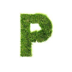 Image showing Grass letter