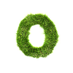 Image showing Grass letter