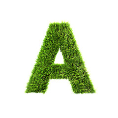 Image showing Grass letter