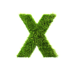 Image showing Grass letter